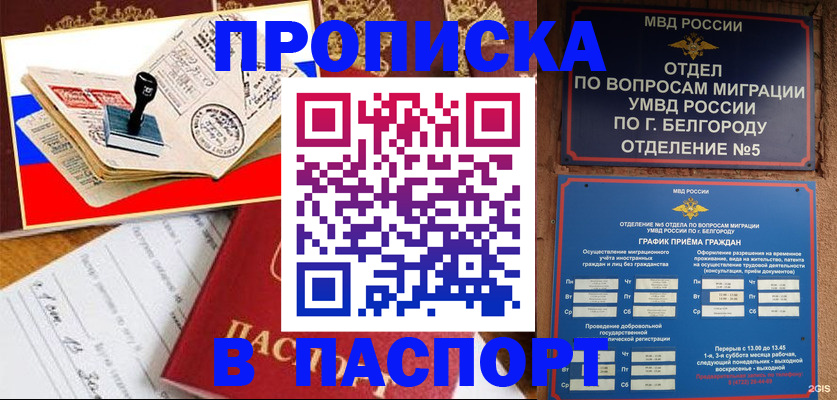 купить прописку в Домодедово